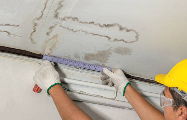 Reliable Burst Pipe Cleanup contractor in Eidson, TN by Water Damage Irwin